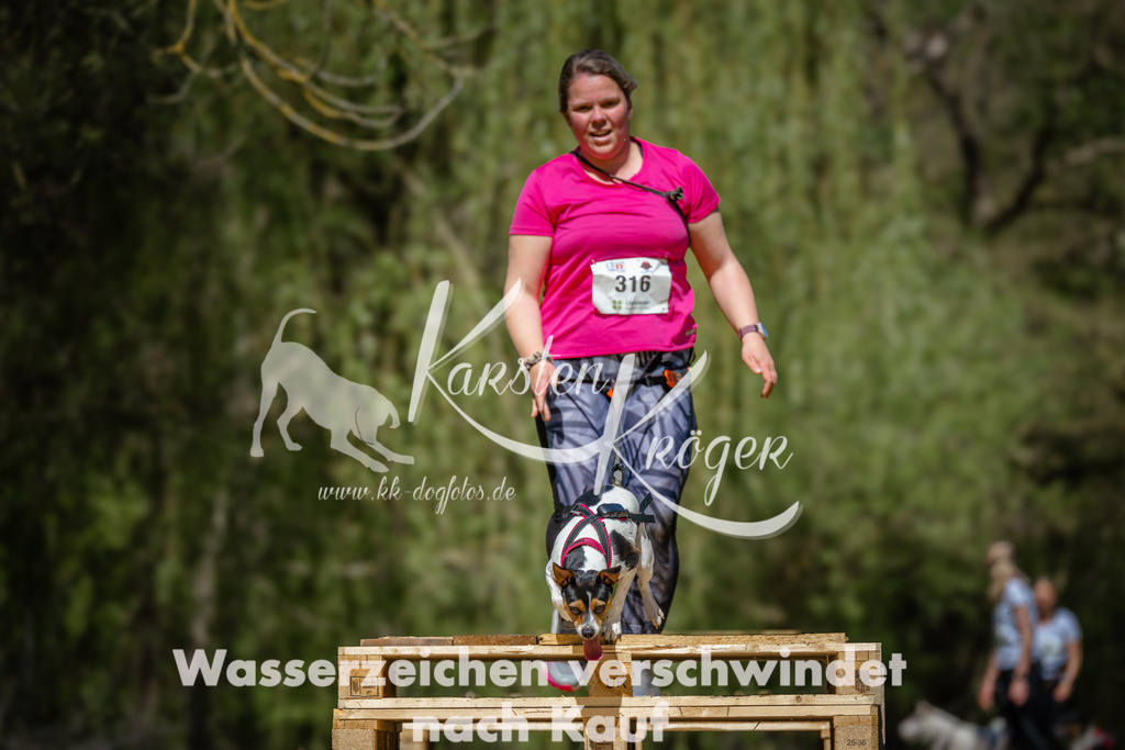 1242_ZZ93594 | kk-dogfotos