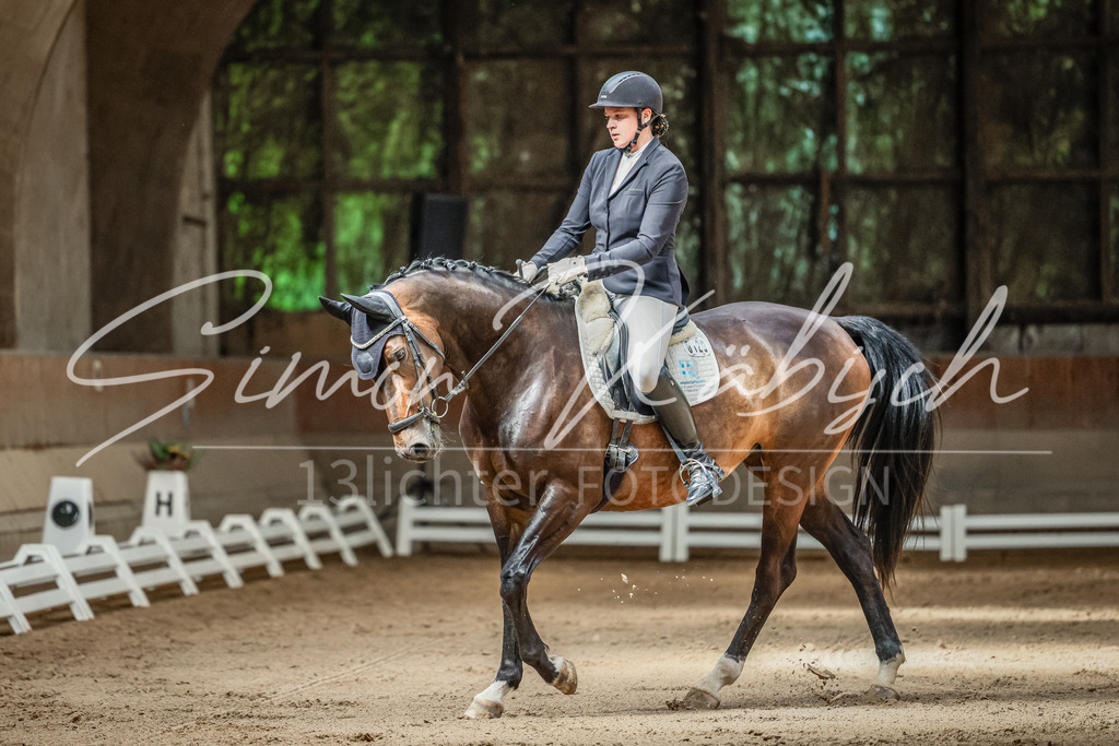 20250621-_3LI5993 | Tierfotografie Pferde, Hunde, Katzen, Haustiere.
Turnierfotografie Reitturniere, Reiten, Springreiten, Dressur in Hanau, dem Main-Kinzig-Kreis und dem Rhein-Main- Gebiet um Frankfurt