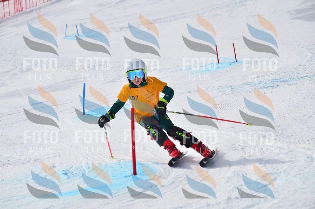 C8038 | holidayphoto