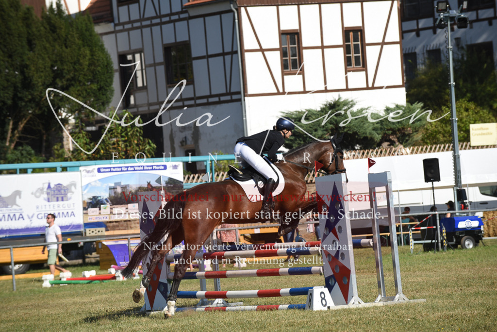 DSC_5407 | Pferde- und Turnierfotografie in Westsachsen. Pferdeportraits, Auftragszeichnungen und intuitive Kunst.