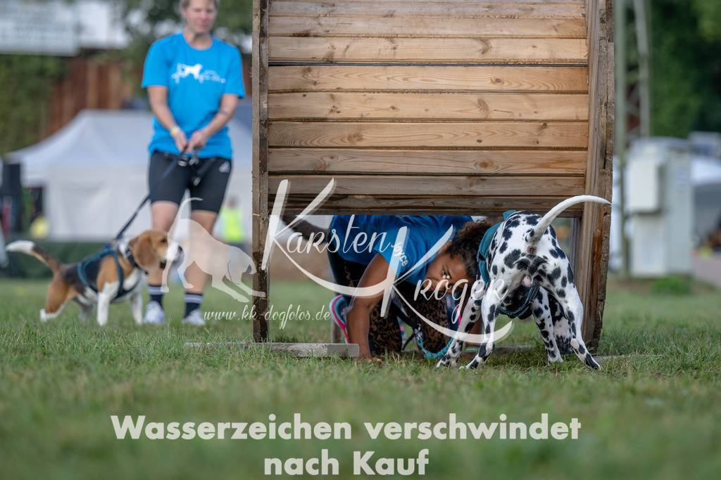 1014_ZZ91905 | kk-dogfotos