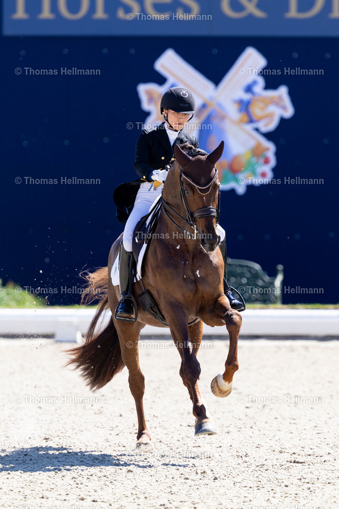 TH_580 Life Time FRH_ Schürmann_ Charlott-Maria_27876 | Horses &amp; Dreams meets the Netherlands 2025 am 27.04.25 in Hagen a.T.W., 580 Life Time FRH, Schürmann, Charlott-Maria