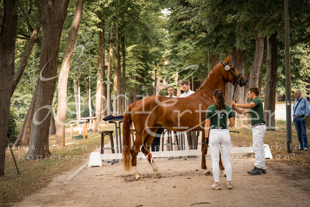 FrPfM00073 | Leoni Ertmer Photography - Realisiert mit Pictrs.com