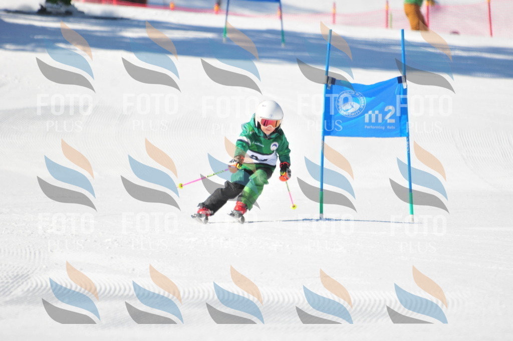 C2670 | holidayphoto