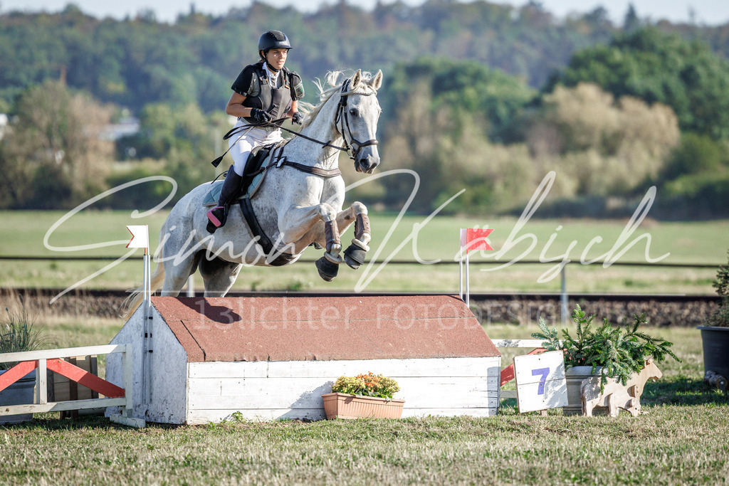 20260905-_3LI0762 | Tierfotografie Pferde, Hunde, Katzen, Haustiere.
Turnierfotografie Reitturniere, Reiten, Springreiten, Dressur in Hanau, dem Main-Kinzig-Kreis und dem Rhein-Main- Gebiet um Frankfurt
