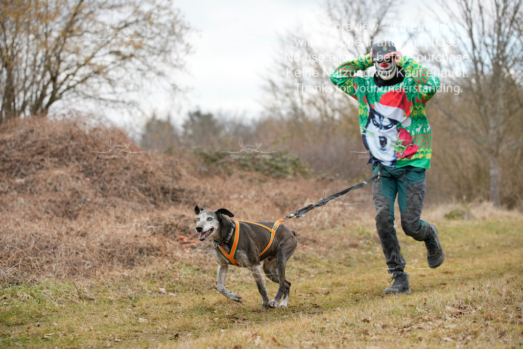 Fasching-41 | stephaniefillaphotographie - Realisiert mit Pictrs.com