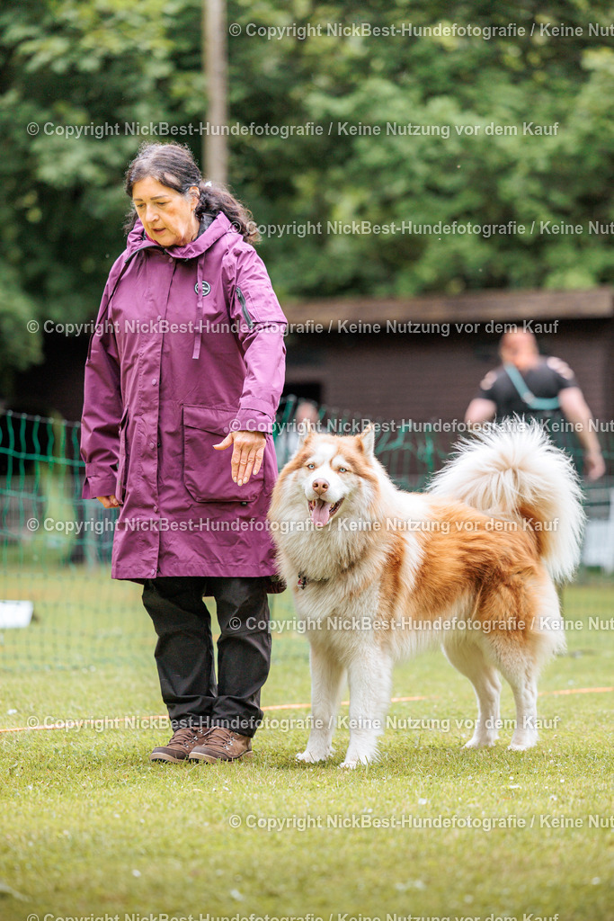 RO-Blumenthal-2026-Nickbest-Hundefotografie-2119 | Dein Hund! Dein Moment! Deine Erinnerungen! Hundefotografie in Bremen Blumenthal. Ich fange die besonderen Momente deines Vierbeiners ein – ob Indoor mit Blitzanlage oder in der freien Natur. Sicher dir dein Moment und dein Termin für eure Erinnerungen.