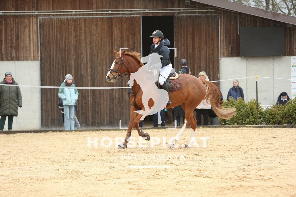 DL2Q1174 | Willkommen bei Brunnmayr - Design & Fotografie – Ihrem Spezialisten für Reitturniere und Pferdeveranstaltungen in Oberösterreich, Salzburg und Bayern! Seit über 17 Jahren sind wir leidenschaftlich dabei.