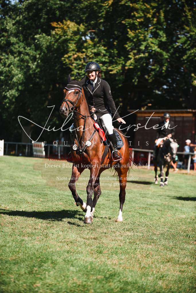 DSC_2648 | Pferde- und Turnierfotografie in Westsachsen. Pferdeportraits, Auftragszeichnungen und intuitive Kunst.
