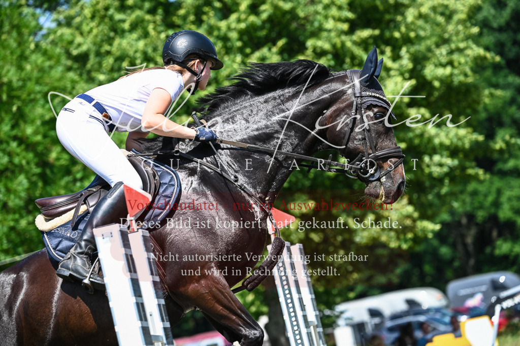 DSC_1014 | Pferde- und Turnierfotografie in Westsachsen. Pferdeportraits, Auftragszeichnungen und intuitive Kunst.