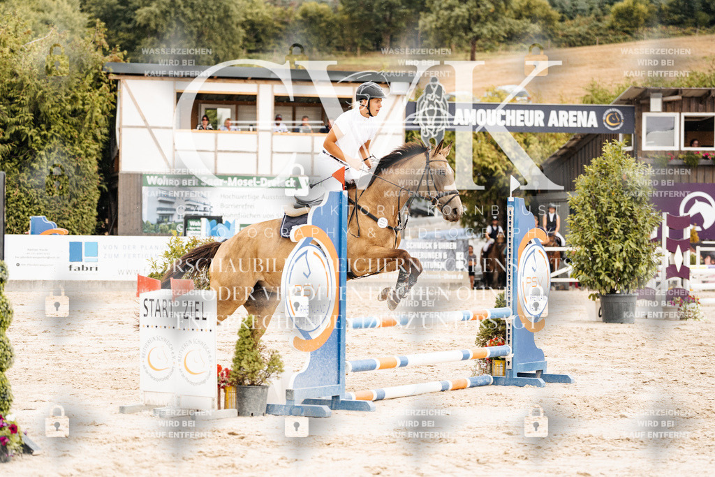 CK908735 | Turnierfotografie Pferdefotografie Trier Rheinland-Pfalz Pferdesport Reitsport Tierfotografie Sportfotografie Pferdevideo Pferdevideografie Equestrianvideography equestrianphotography  - Realisiert mit Pictrs.com