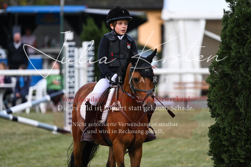 DSC_5566 | Pferde- und Turnierfotografie in Westsachsen. Pferdeportraits, Auftragszeichnungen und intuitive Kunst.