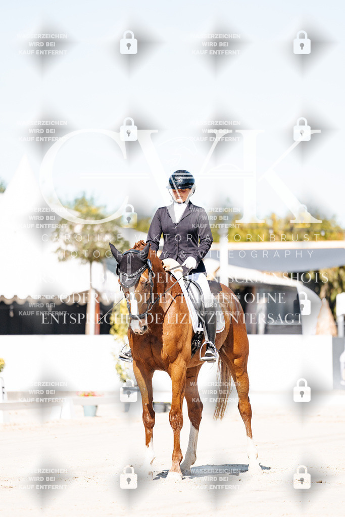 CK908867 | Turnierfotografie Pferdefotografie Trier Rheinland-Pfalz Pferdesport Reitsport Tierfotografie Sportfotografie Pferdevideo Pferdevideografie Equestrianvideography equestrianphotography  - Realisiert mit Pictrs.com