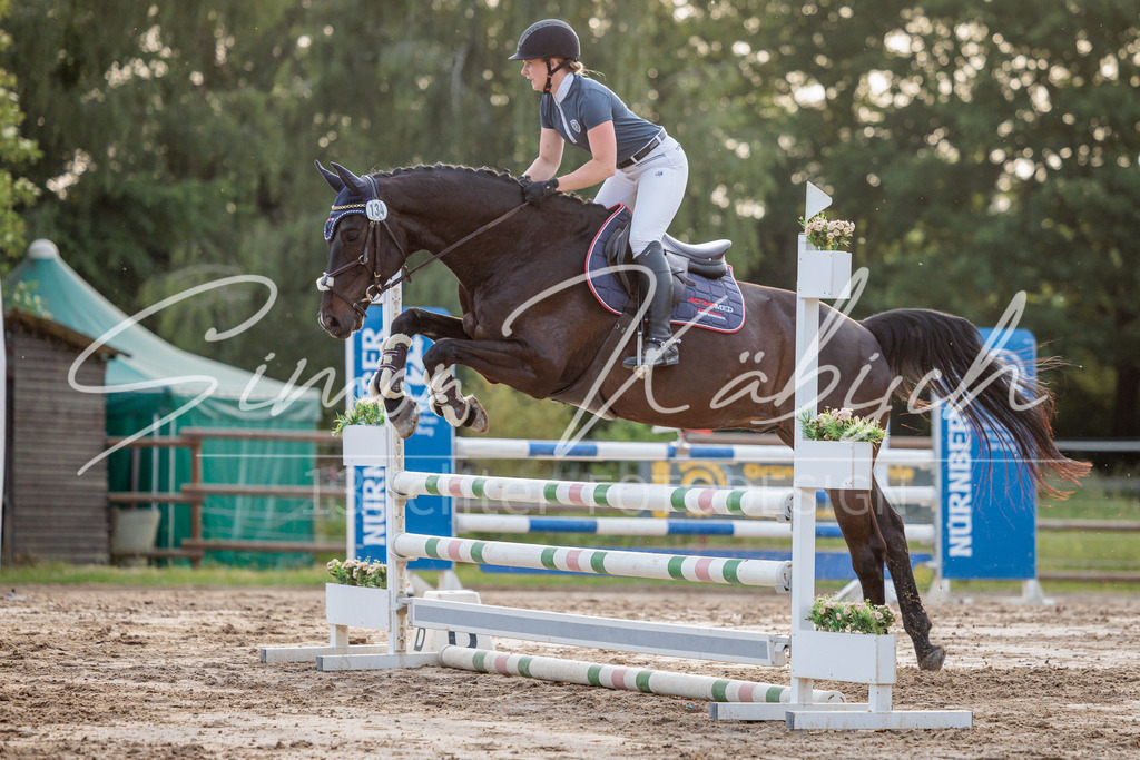 20260529-_3LI1627 | Tierfotografie Pferde, Hunde, Katzen, Haustiere.
Turnierfotografie Reitturniere, Reiten, Springreiten, Dressur in Hanau, dem Main-Kinzig-Kreis und dem Rhein-Main- Gebiet um Frankfurt