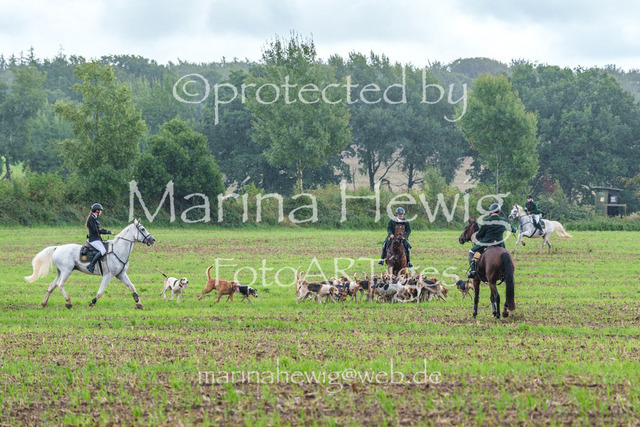 Jagd Perdoel 26 Sony-03419_MarinaHewig | Fotografie, FotoArt, PferdesportArt, Pferdesportfotografie, Landschaftsfotografie, Reisefotografie, Reise, Pferde - Realisiert mit Pictrs.com