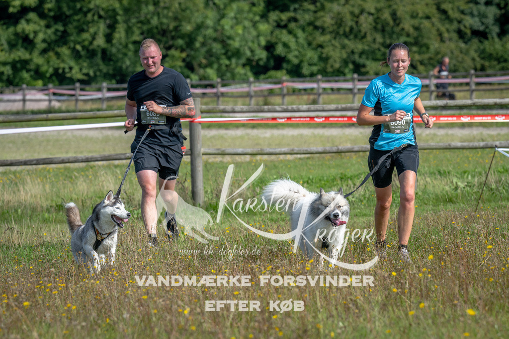 1141_ZZ90986 | kk-dogfotos