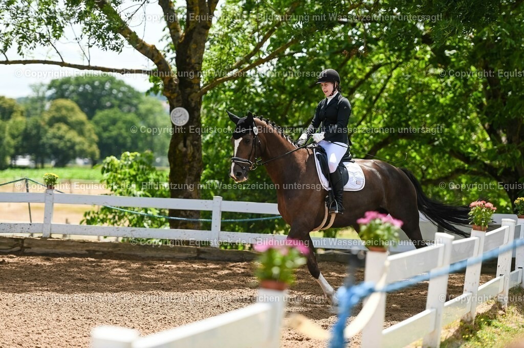 20230716_03_Dressurprfg. Kl.L - Tr._0171 | equistock