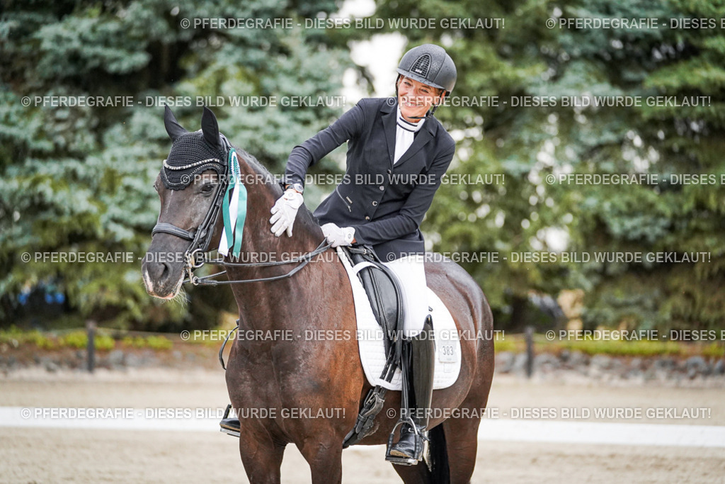 DSC09962 | Pferdegrafie