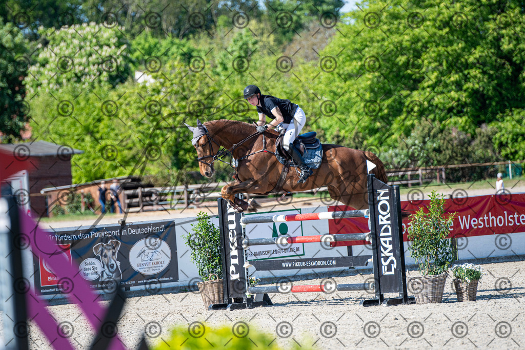 KPT_1667 | andre_photographic