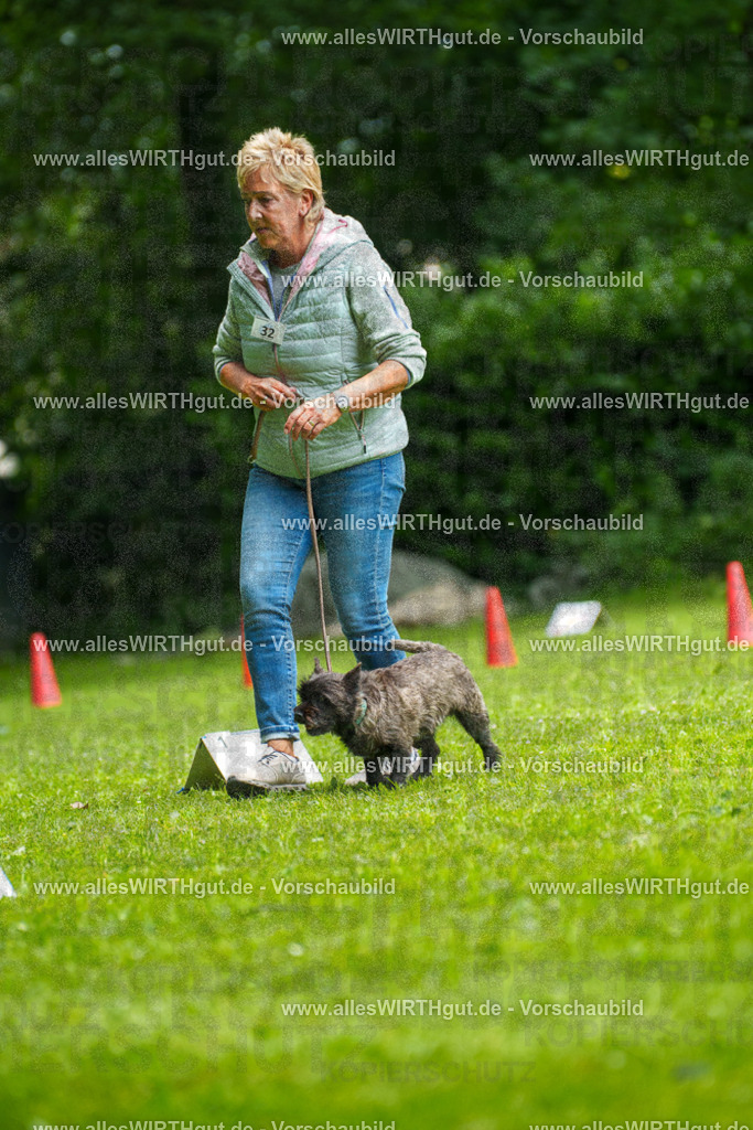 @allesWIRTHgut_Tierfotografie - www.allesWIRTHgut.de - 7R504458 | Professionelle Tierfotografie in Mönchengladbach von Daniel Wirth (allesWIRTHgut). Liebevolle & natürliche Bilder von Hunden & Katzen für unvergessliche Erinnerungen.