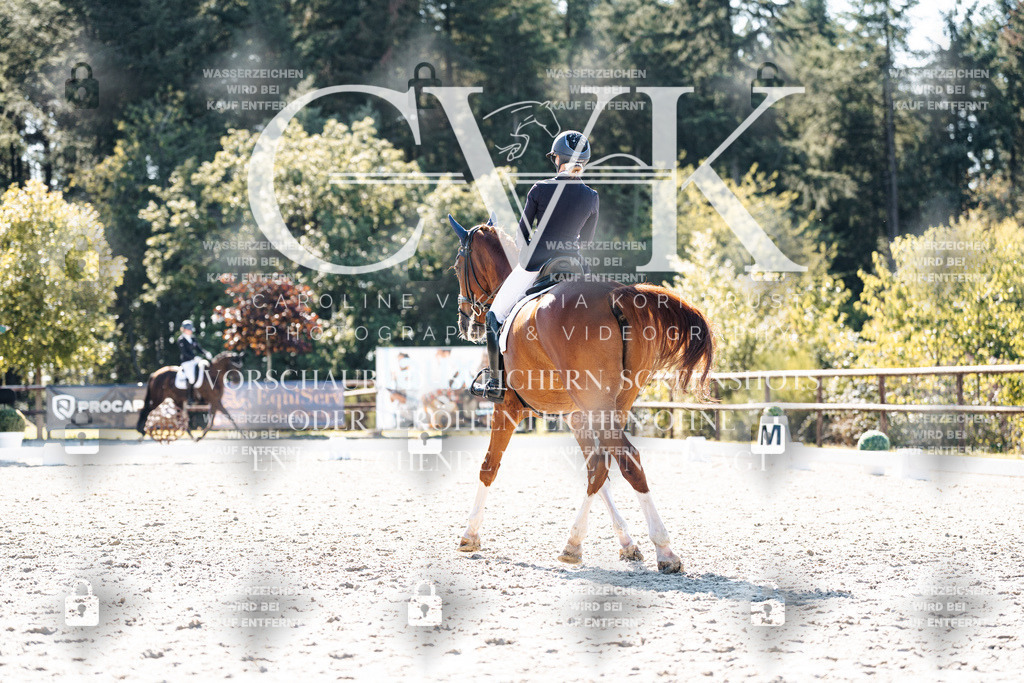 CK905483 | Turnierfotografie Pferdefotografie Trier Rheinland-Pfalz Pferdesport Reitsport Tierfotografie Sportfotografie Pferdevideo Pferdevideografie Equestrianvideography equestrianphotography  - Realisiert mit Pictrs.com