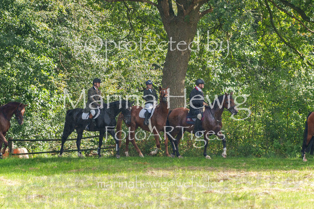 Jagd Perdoel_MarinaHewigMCH04594 | Fotografie, FotoArt, PferdesportArt, Pferdesportfotografie, Landschaftsfotografie, Reisefotografie, Reise, Pferde - Realisiert mit Pictrs.com
