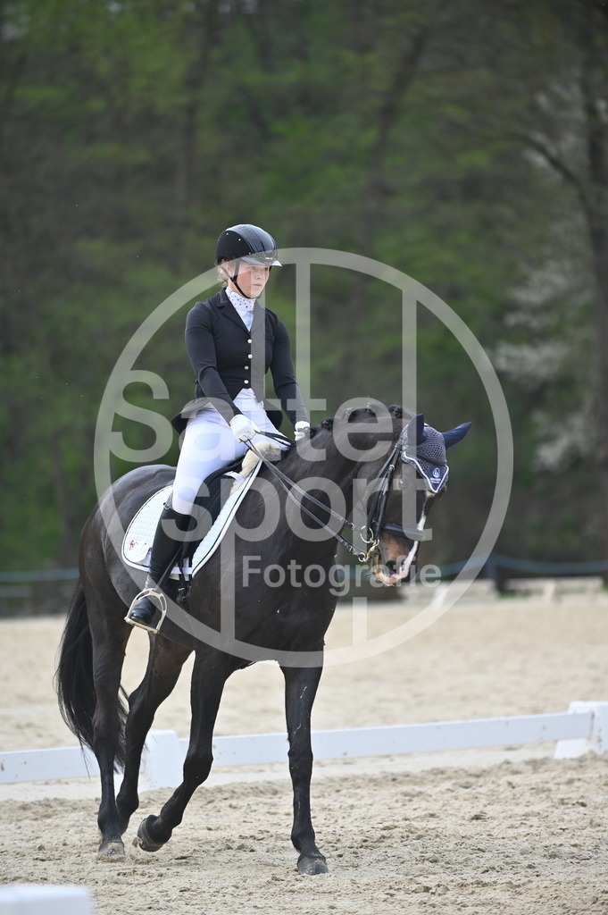 DSC_4897 | sattelsport - Realisiert mit Pictrs.com