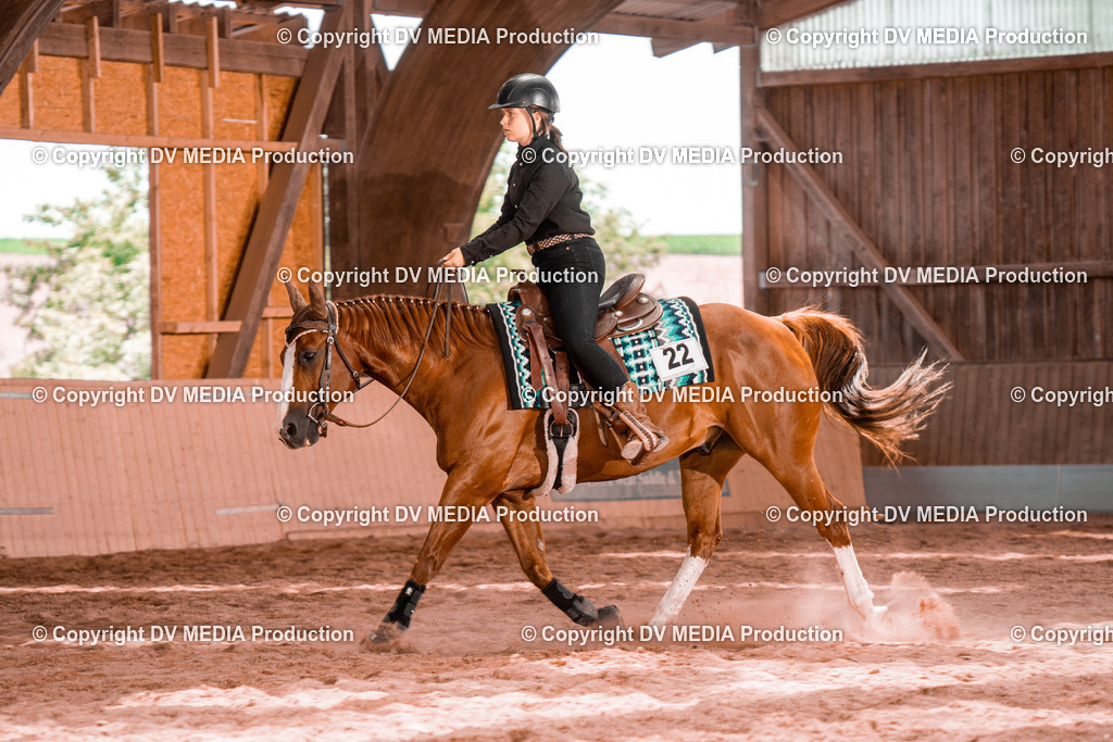 NE200715 | dv-media-shop - Realisiert mit Pictrs.com