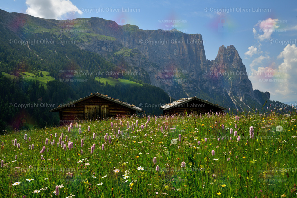 Wohlfühlort Seiser Alm | Ein Bild von der Seiser Alm im Frühsommer,  mit blühenden grünen Wiesen , kleinen Berghütten und dem markanten Schlern im Hintergrund.
