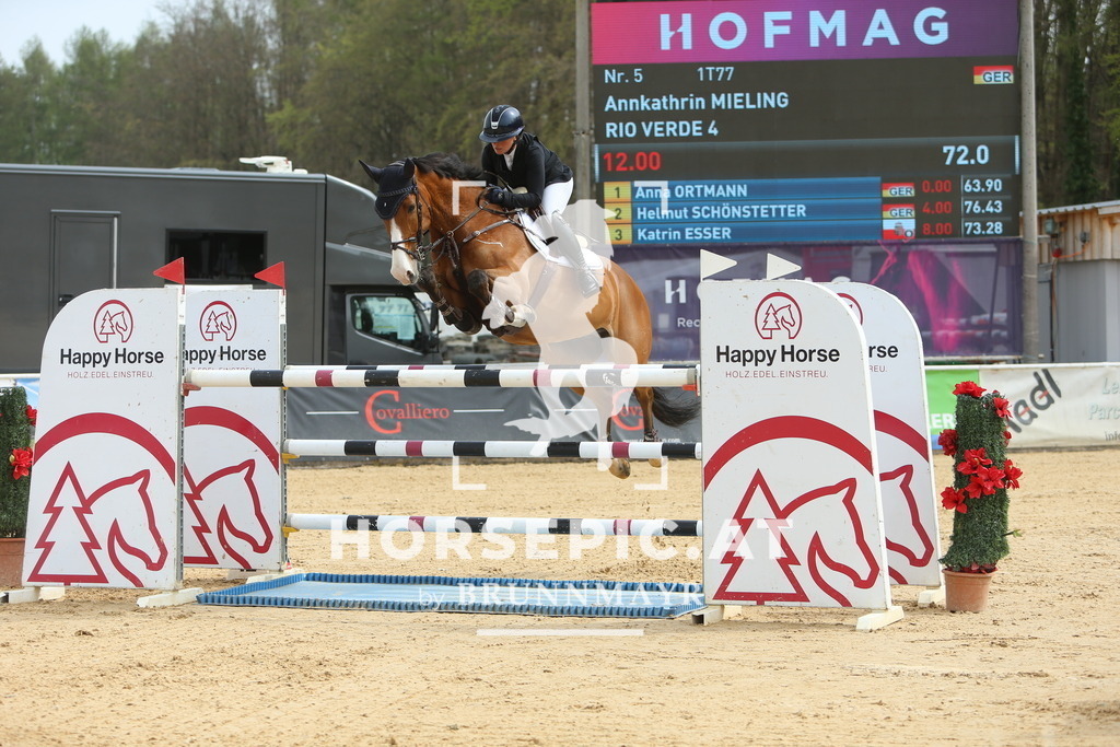 DL2Q2547 | Willkommen bei Brunnmayr - Design & Fotografie – Ihrem Spezialisten für Reitturniere und Pferdeveranstaltungen in Oberösterreich, Salzburg und Bayern! Seit über 17 Jahren sind wir leidenschaftlich dabei.