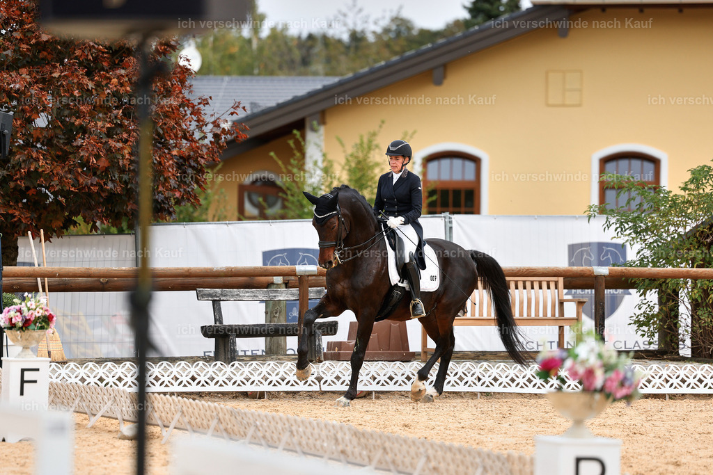 11-007-Dressur S___-StoibPH-1114 | working equitationturnier fotograf videograf stoibphotography marixx film working equitation deutschland reitsport turnierfotografie eventfotografie equestrian events