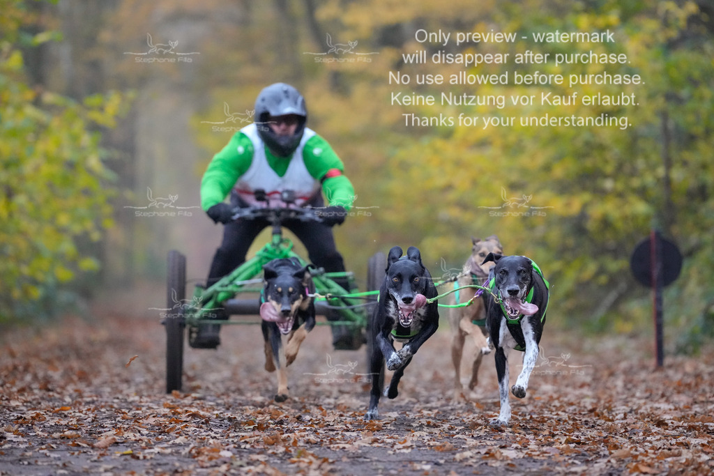 Rigs4bis8So-34 | stephaniefillaphotographie - Realisiert mit Pictrs.com