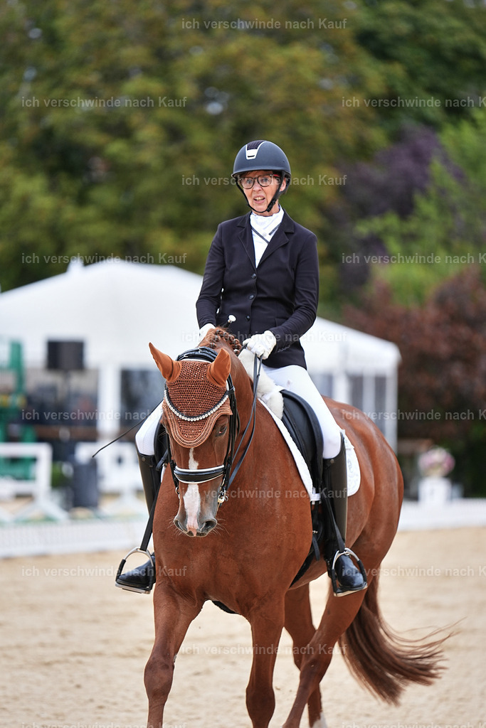 04_1-084-Dressur M__ -Marixx-2742 | working equitationturnier fotograf videograf stoibphotography marixx film working equitation deutschland reitsport turnierfotografie eventfotografie equestrian events