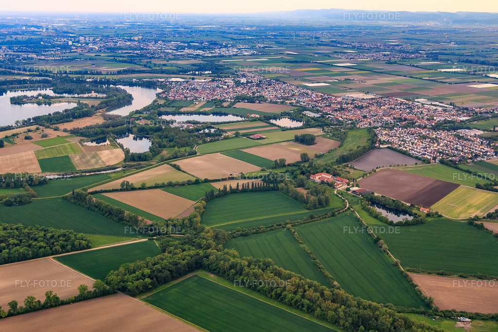 Luftbild: Ortsansicht aus Norden im Ortsteil Bobenheim in Bobenheim-Roxheim im Bundesland Rheinland-Pfalz in Deutschland. Foto: IMG_088578.jpg vom 17.05.2016 durch Werner Riehm/FLY-FOTO.de