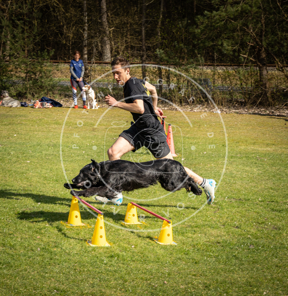 Pfotenfotografie_DV3A1857 | Hundefotografie, Tierfotograf, Pfotenfotografie, Fotoshooting Hund, Hunde Portrait, Hundesport, Hundeportraits, Heideshooting, Hunde, Sportfotograf, Hundefotograf, Turnierhundsport, THS,  - Realisiert mit Pictrs.com