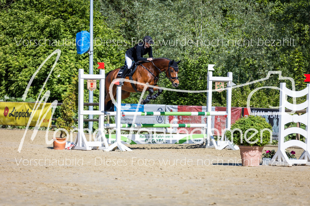 Donop24-A2Spr-098 | MomenTaufnahmen Pferdesportfotos