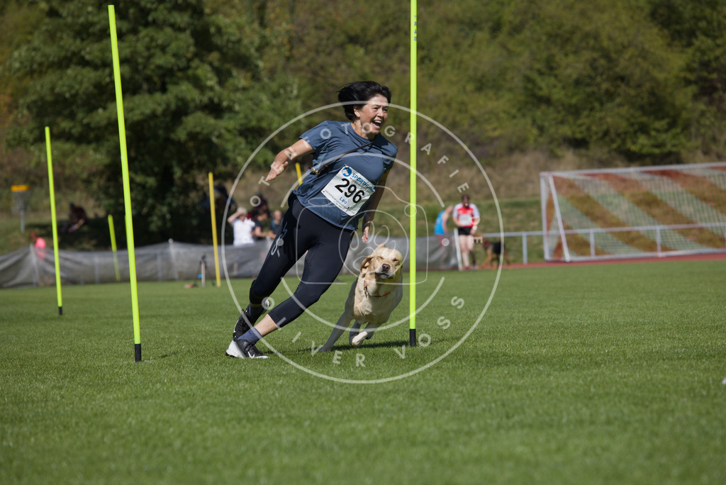 0L8A7111 | Hundefotografie, Tierfotograf, Pfotenfotografie, Fotoshooting Hund, Hunde Portrait, Hundesport, Hundeportraits, Heideshooting, Hunde, Sportfotograf, Hundefotograf, Turnierhundsport, THS,  - Realisiert mit Pictrs.com