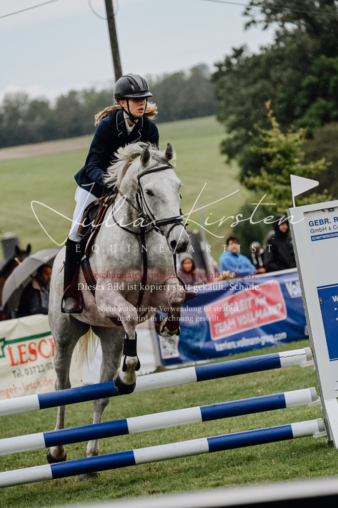DSC_7076 | Pferde- und Turnierfotografie in Westsachsen. Pferdeportraits, Auftragszeichnungen und intuitive Kunst.