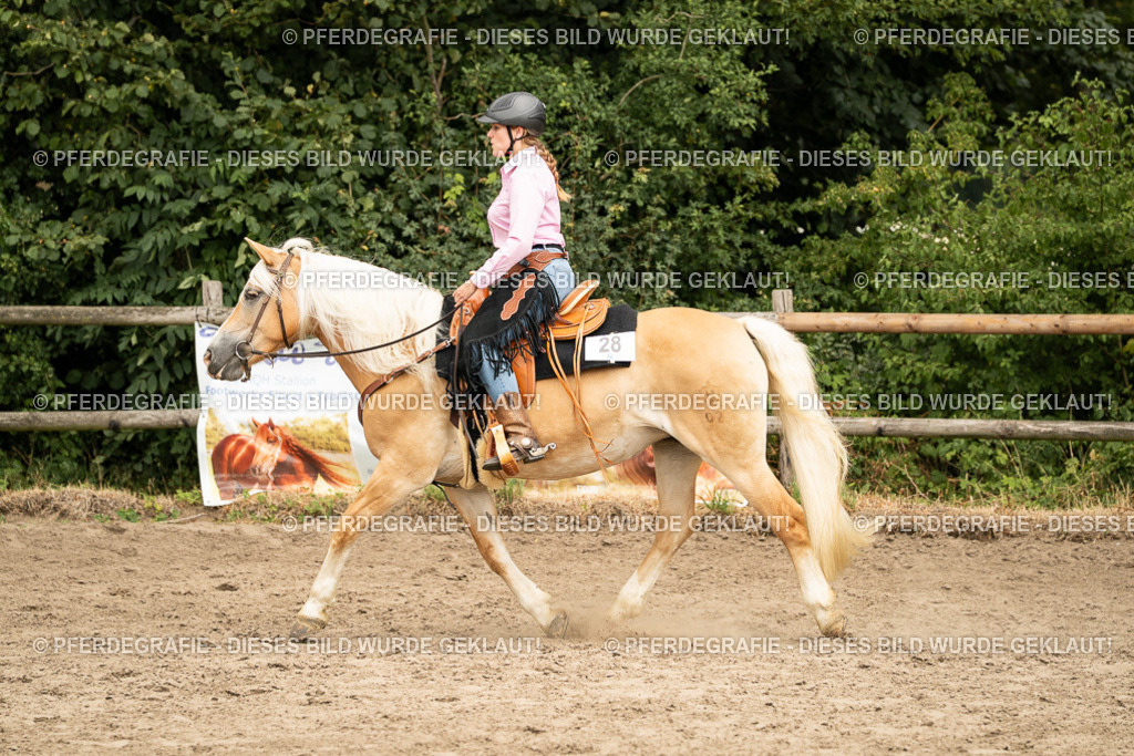 DSC00715 | Pferdegrafie