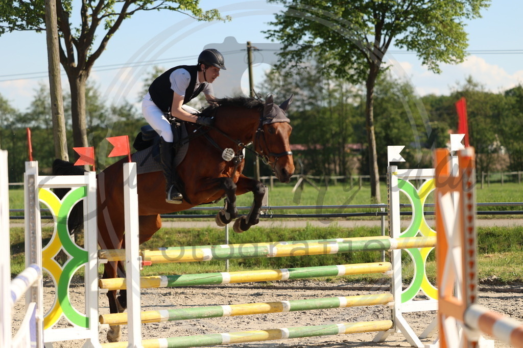 994A6184 | sabrinanicolaifotografie - Realisiert mit Pictrs.com