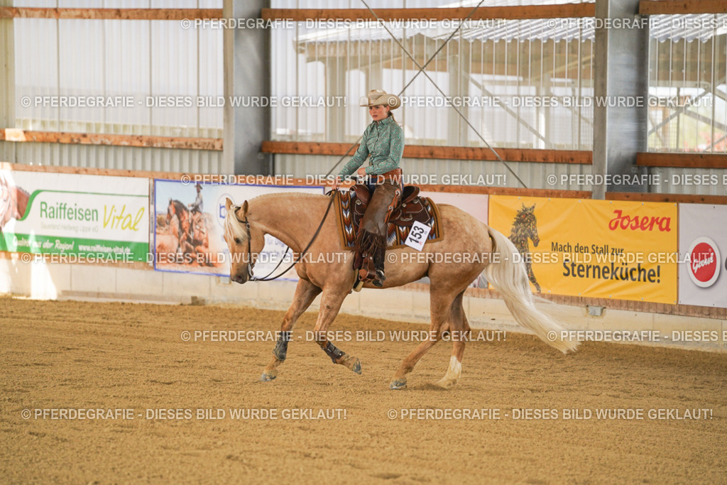 DSC07072 | Pferdegrafie