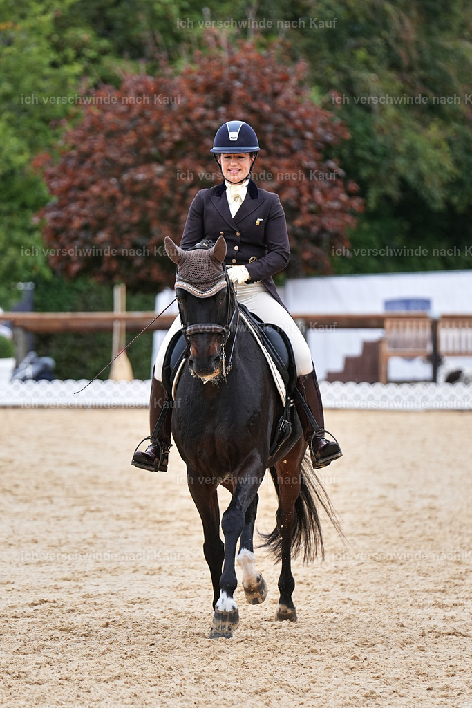 11-191-Dressur S___-Marixx-1793 | working equitationturnier fotograf videograf stoibphotography marixx film working equitation deutschland reitsport turnierfotografie eventfotografie equestrian events