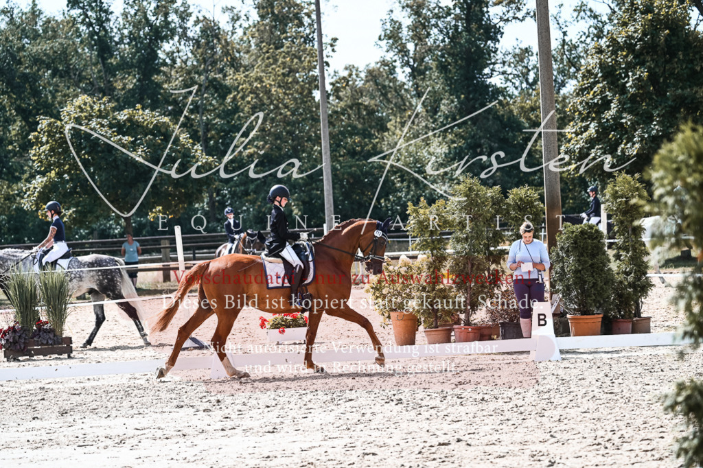 DSC_5103 | Pferde- und Turnierfotografie in Westsachsen. Pferdeportraits, Auftragszeichnungen und intuitive Kunst.
