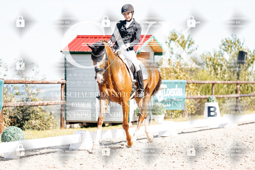 CK909576 | Turnierfotografie Pferdefotografie Trier Rheinland-Pfalz Pferdesport Reitsport Tierfotografie Sportfotografie Pferdevideo Pferdevideografie Equestrianvideography equestrianphotography  - Realisiert mit Pictrs.com