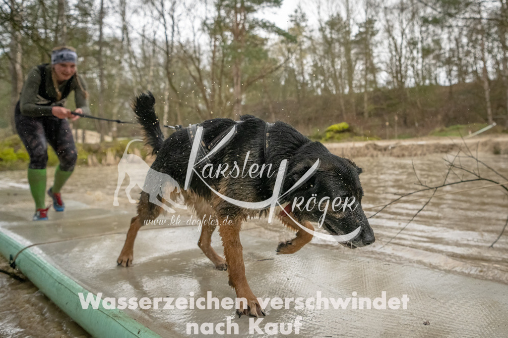 0906_ZZ90277-Bearbeitet | kk-dogfotos
