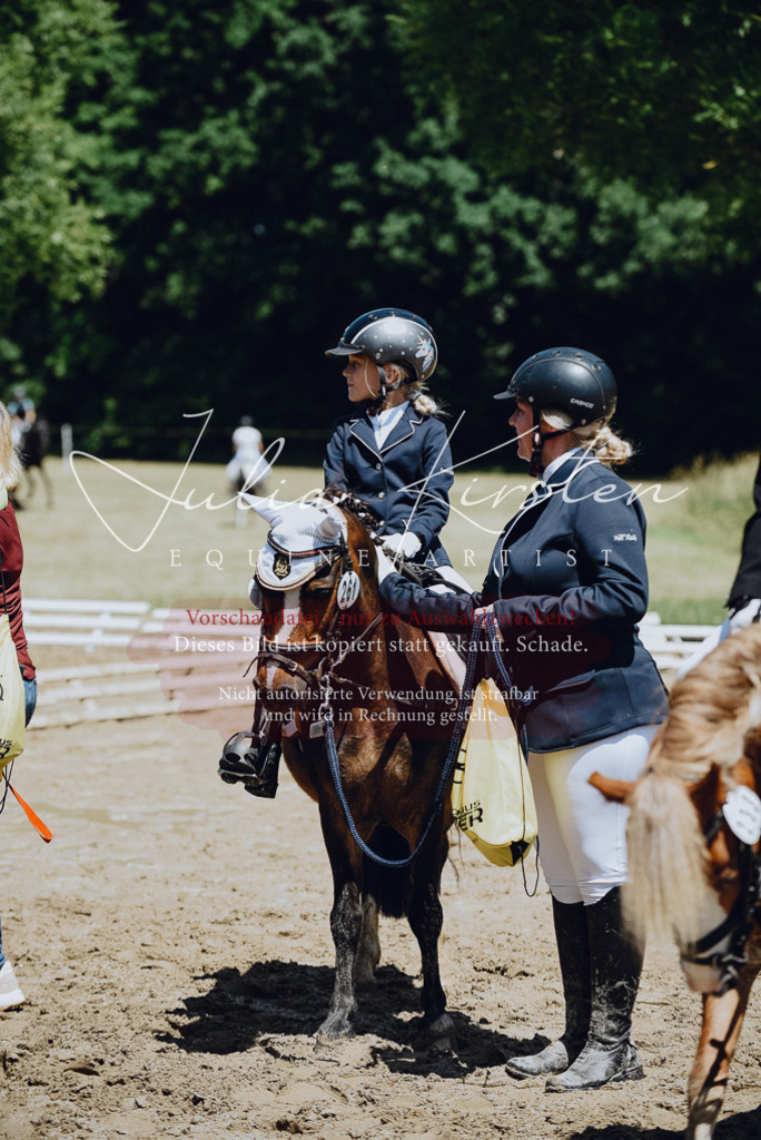 DSC_2339 | Pferde- und Turnierfotografie in Westsachsen. Pferdeportraits, Auftragszeichnungen und intuitive Kunst.