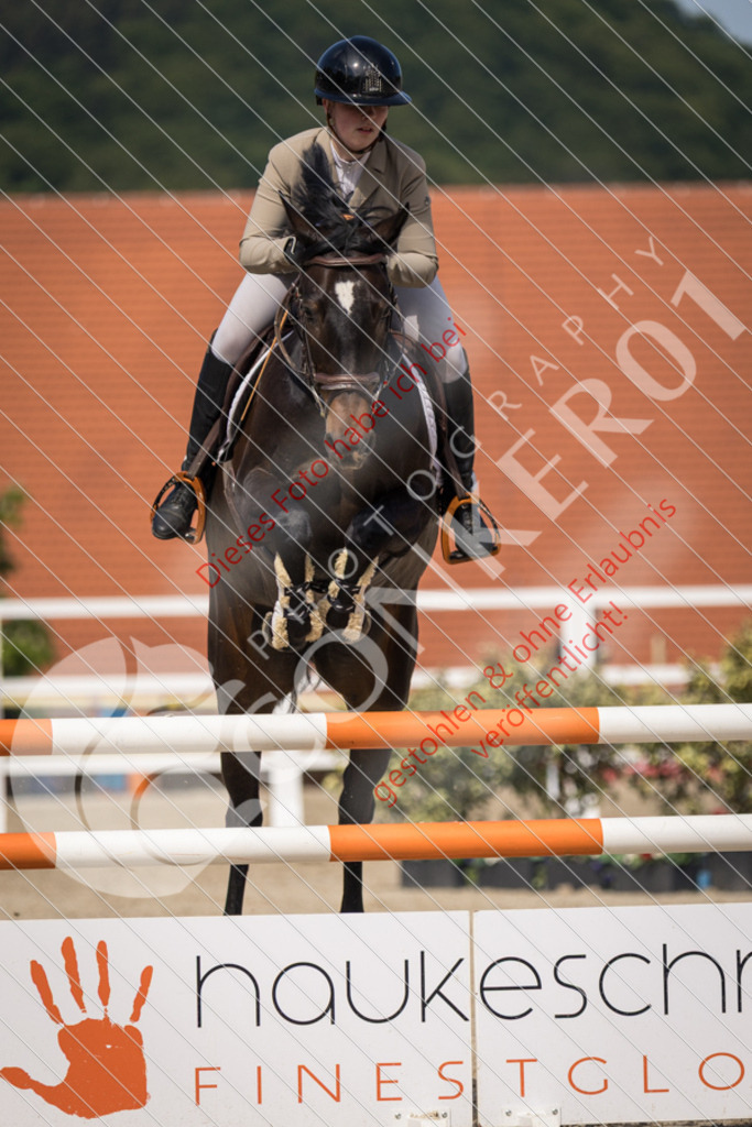 IMG_4635 | Sport-, Event- und Tierfotos in Profiqualität. Einfach auswählen, bestellen und herunterladen. Dein Moment – perfekt festgehalten.