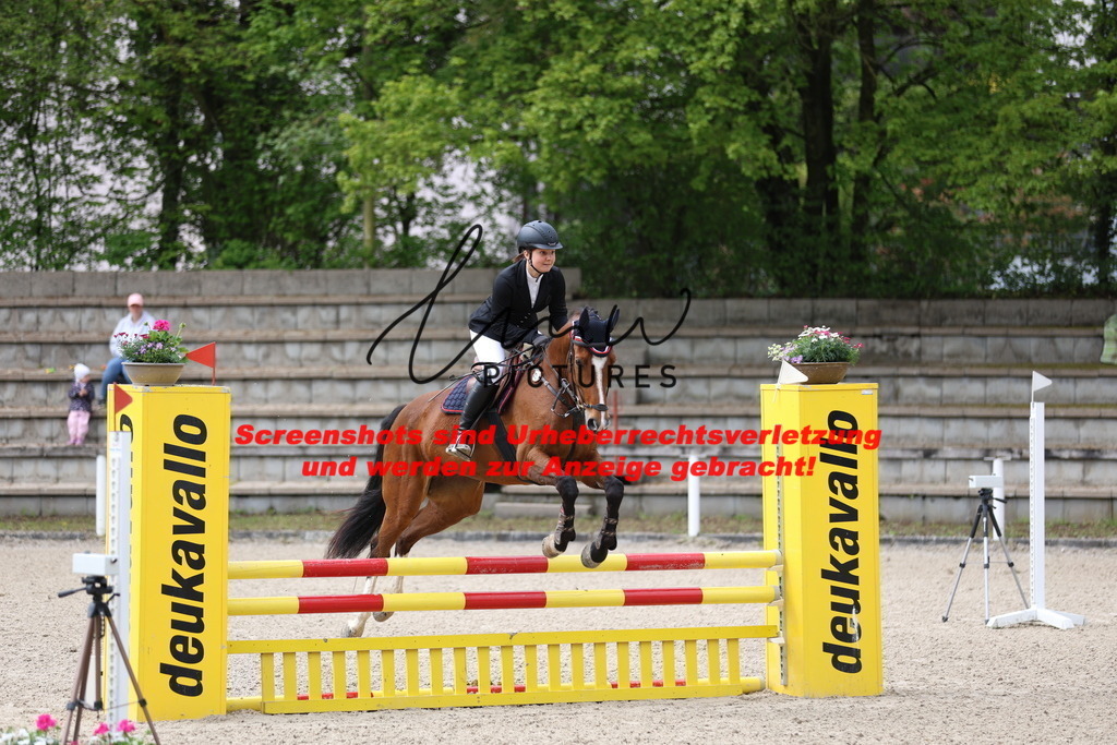 A40A1558 | lmwpictures - Realisiert mit Pictrs.com