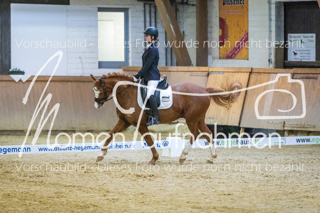 Sth-WBO25-DrR-079 | MomenTaufnahmen Pferdesportfotos