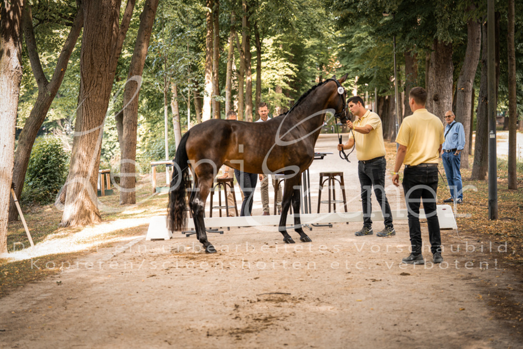 FrPfM00152 | Leoni Ertmer Photography - Realisiert mit Pictrs.com